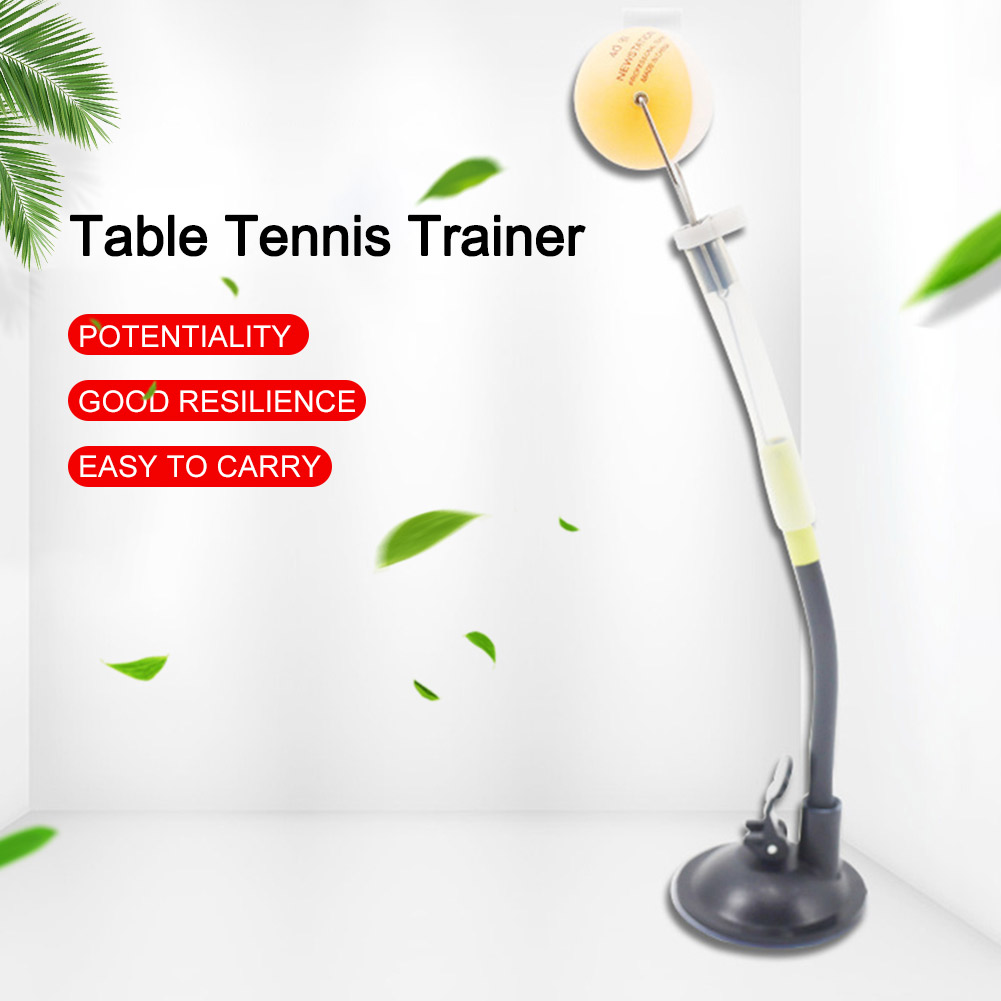 Тренажер для настольного тенни – обзор и цена Table Tennis Training China